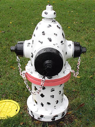 Elm and Villa - Dalmation